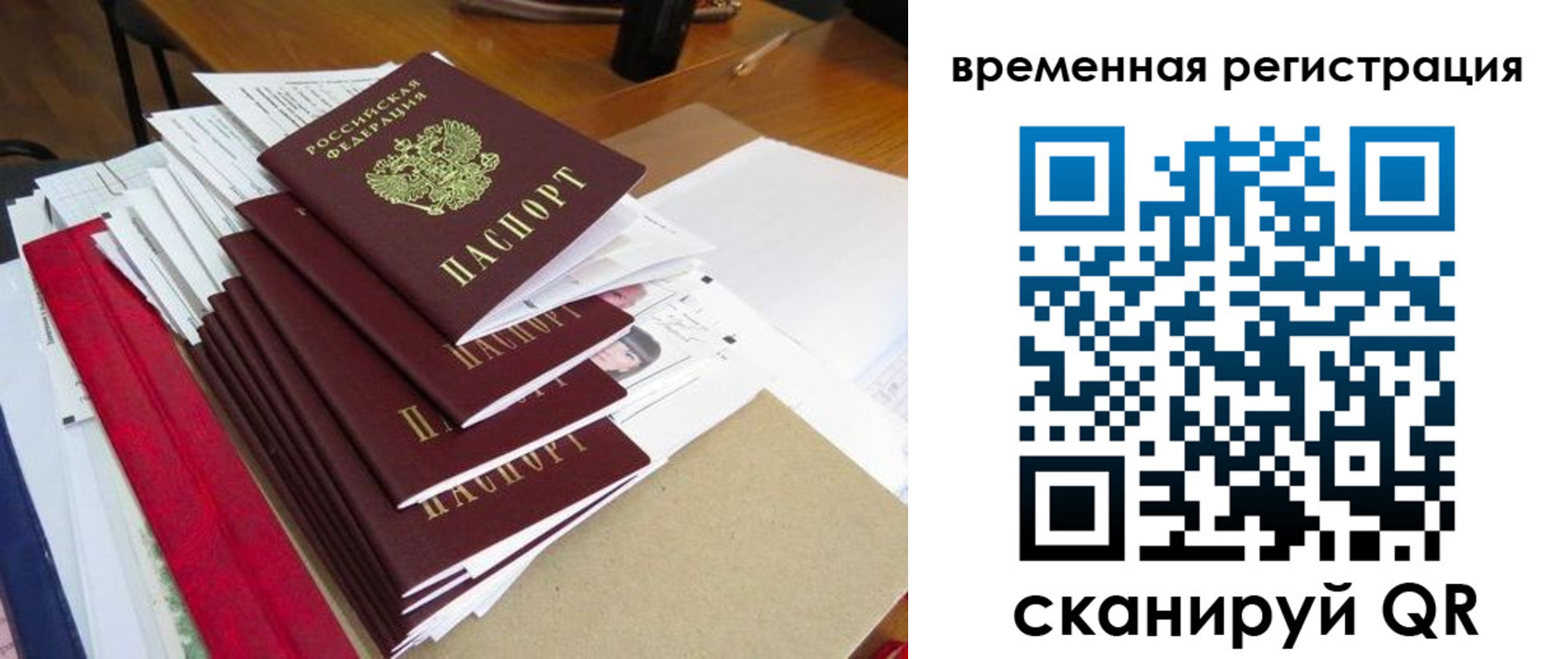 регистрация для школы в Елизово
